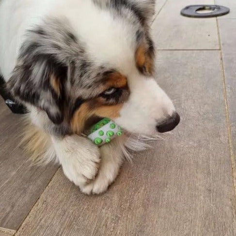 The CanineDent™ Dog's Ultimate Dental Care Solution