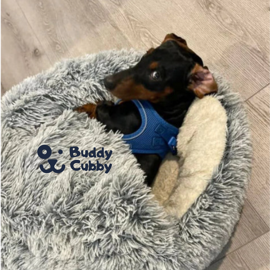 BuddyCubby™ kjæledyrseng