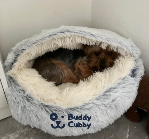 BuddyCubby™ kjæledyrseng